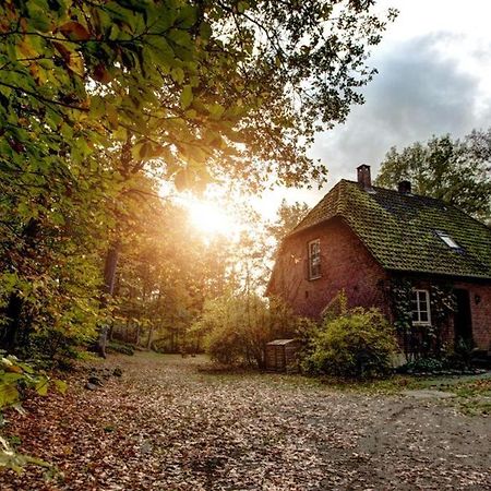 Forsthaus - Gut Thansen Soderstorf Экстерьер фото